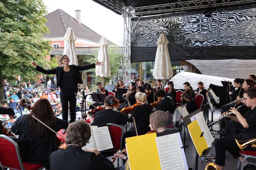 Konzertpicknick Wildshut