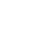 Logo Instagram Stieglitz